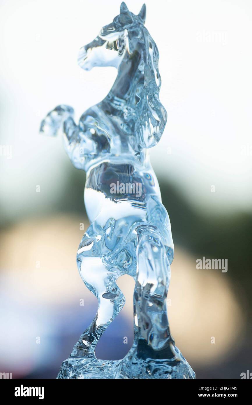 Hallandale Beach, Florida, Stati Uniti. 29th Jan 2022. 29 gennaio 2022: Il Trofeo Pegasus World Cup al Gulfstream Park di Hallandale Beach, Florida, il 29th gennaio 2022. Carson Dennis/Eclipse Sportswire/CSM/Alamy Live News Foto Stock