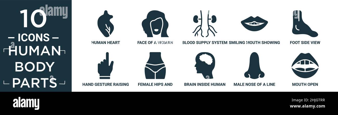 set di icone delle parti del corpo umano piene. contengono un cuore umano piatto, il volto di una donna, il sistema di alimentazione del sangue, la bocca sorridente che mostra i denti, la vista laterale del piede, la mano ge Illustrazione Vettoriale