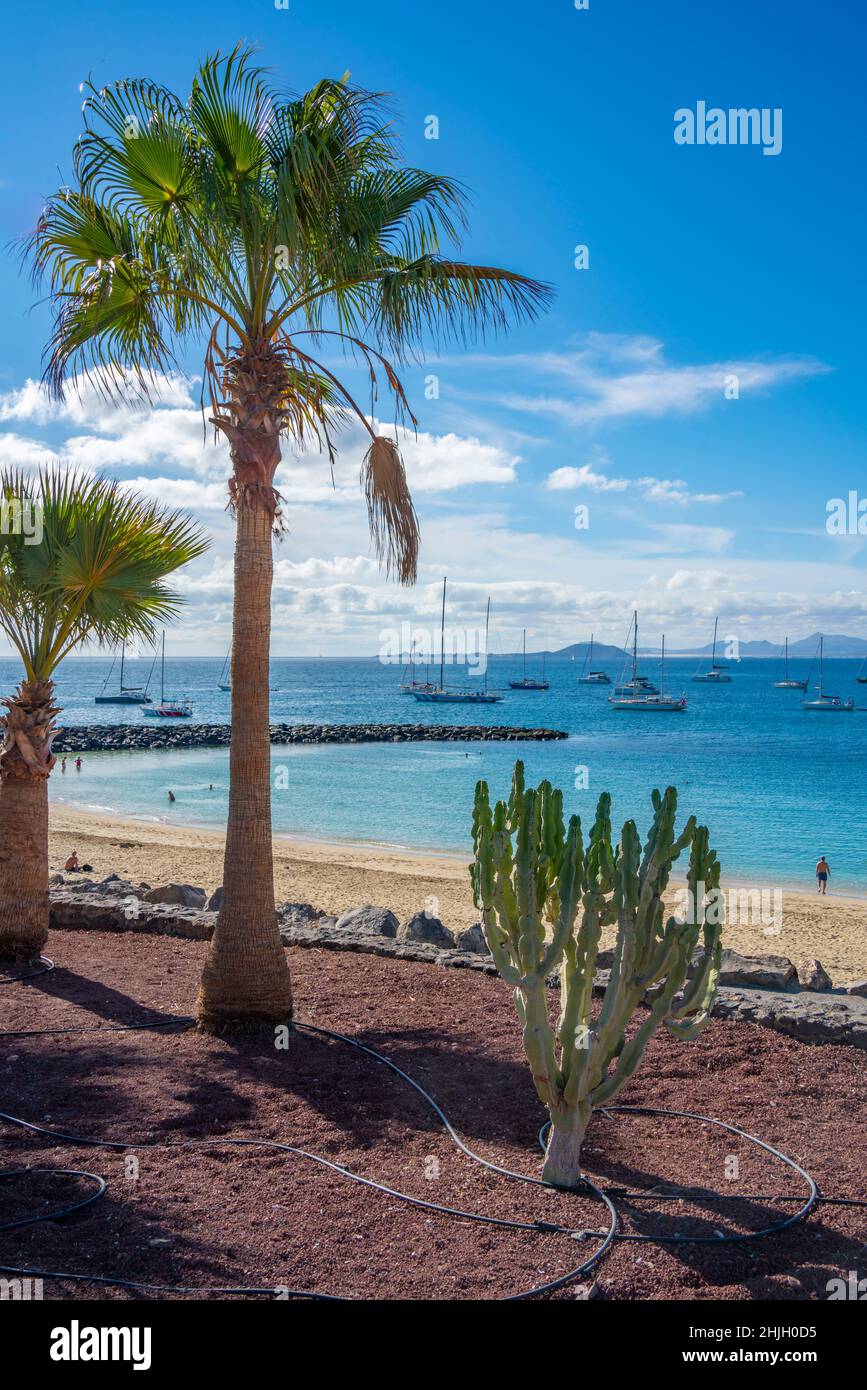Vista sulla spiaggia di Playa Dorada e Fuerteventura sullo sfondo, Playa Blanca, Lanzarote, Isole Canarie, Spagna, Atlantico, Europa Foto Stock