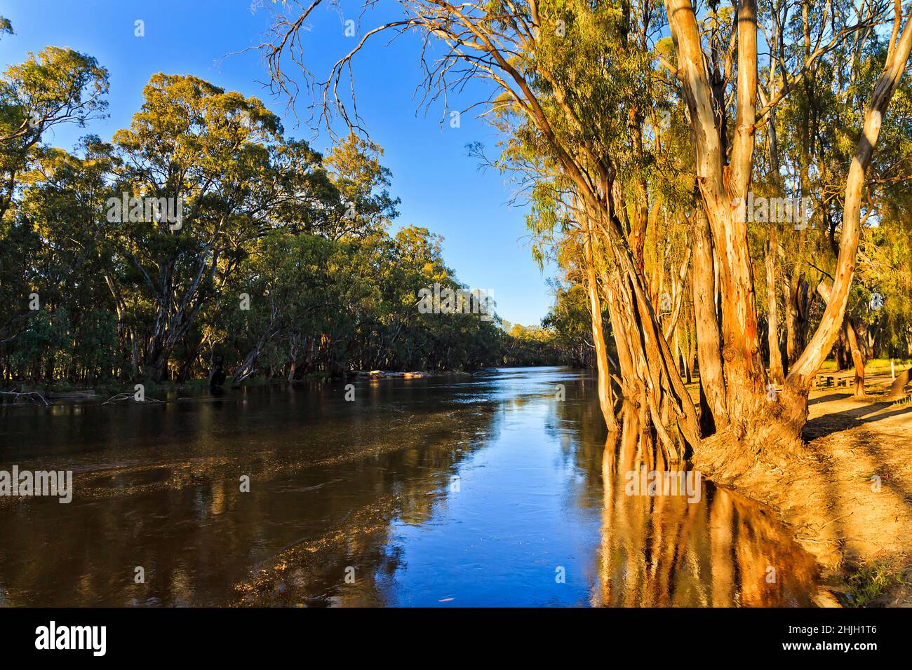 Fiume Murrumbidgee allagato nella città di Balranald, nell'entroterra australiano del NSW, con luce soffusa del mattino. Foto Stock