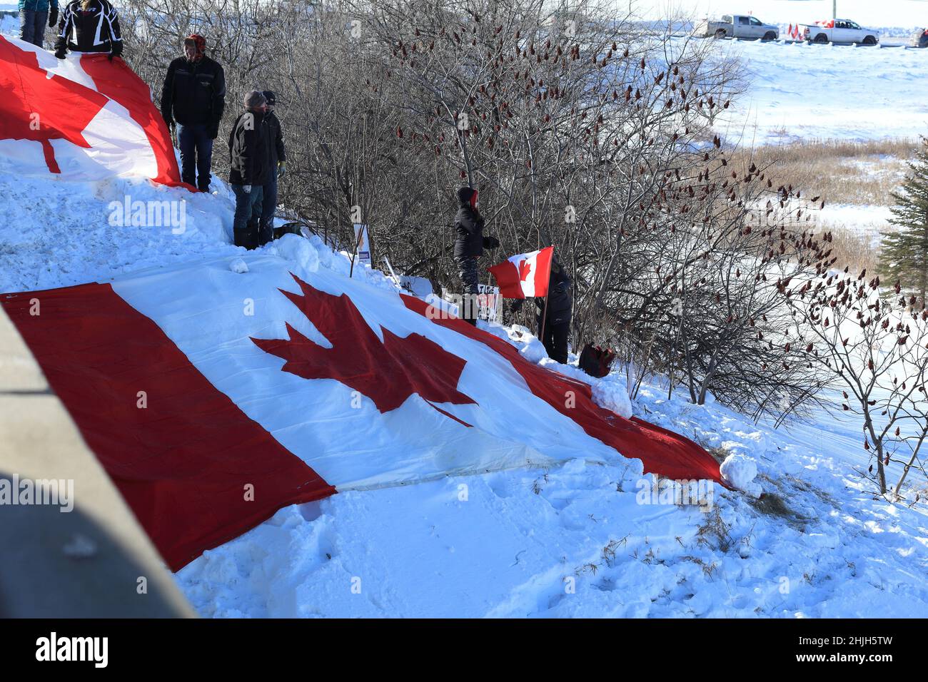 Freedom convoy 2022 camion che si spostano lungo l'autostrada 417 verso Ottawa per protestare mandati imposti come misure anticovid. Gennaio 29, 2022 Foto Stock