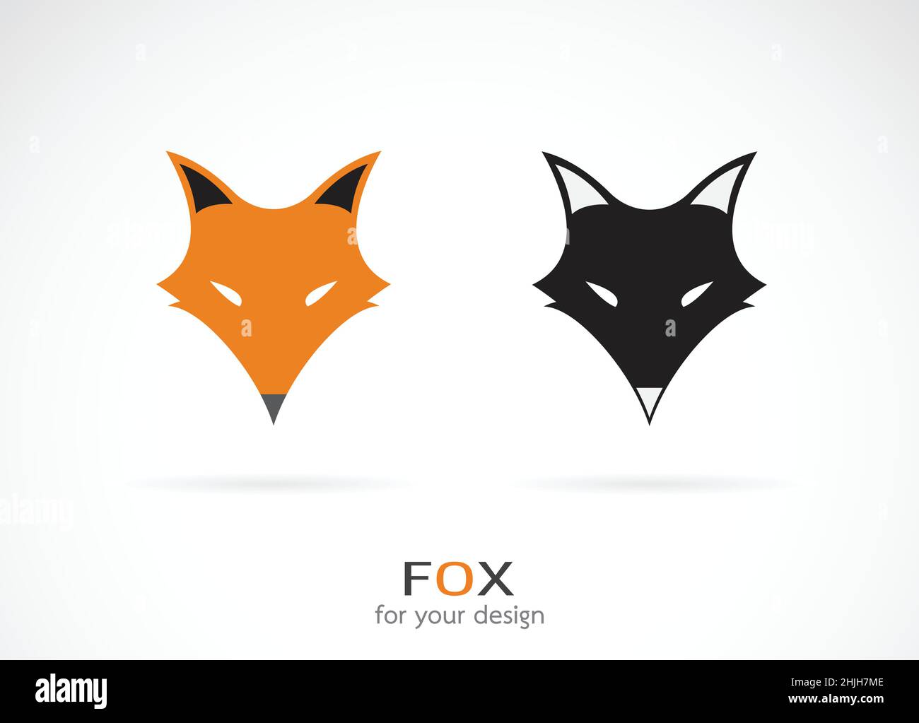 Vettore di un disegno del volto della volpe su sfondo bianco. Animali selvatici. Icona Fox. Illustrazione vettoriale a livelli facilmente modificabile. Illustrazione Vettoriale