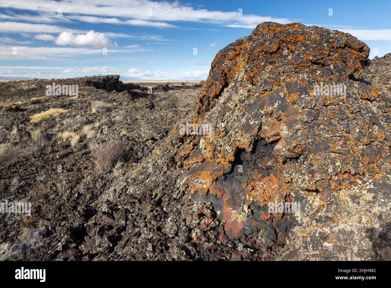 Licheni che coprono una grande roccia di lava su un paesaggio vulcanico. Hells Half Acre, Idaho Foto Stock