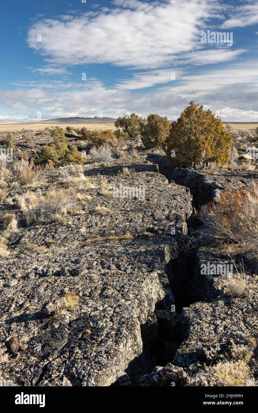Una grande crepa in un campo di lava che si estende attraverso la vegetazione verso l'orizzonte. Hells Half Acre, Idaho Foto Stock