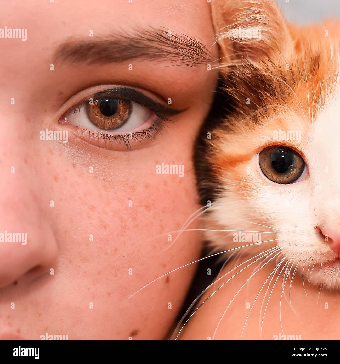 giovane donna e un gattino rosso con occhi marroni. primo piano. l'aspetto di una ragazza con greckles. Foto Stock