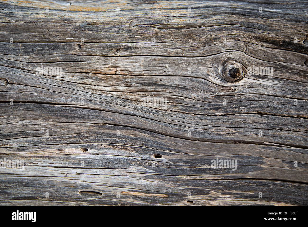 Driftwood macchiato con fumo Foto Stock