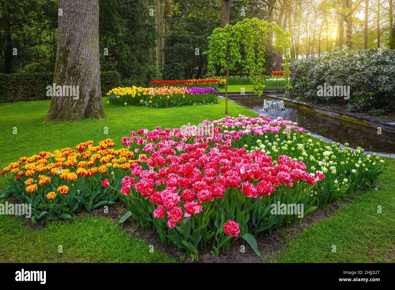Giardino Keukenhof decorato con fontana e varie collezioni di tulipani colorati. Uno dei giardini ornamentali più visitati d'Europa, Lisse, Netherlan Foto Stock