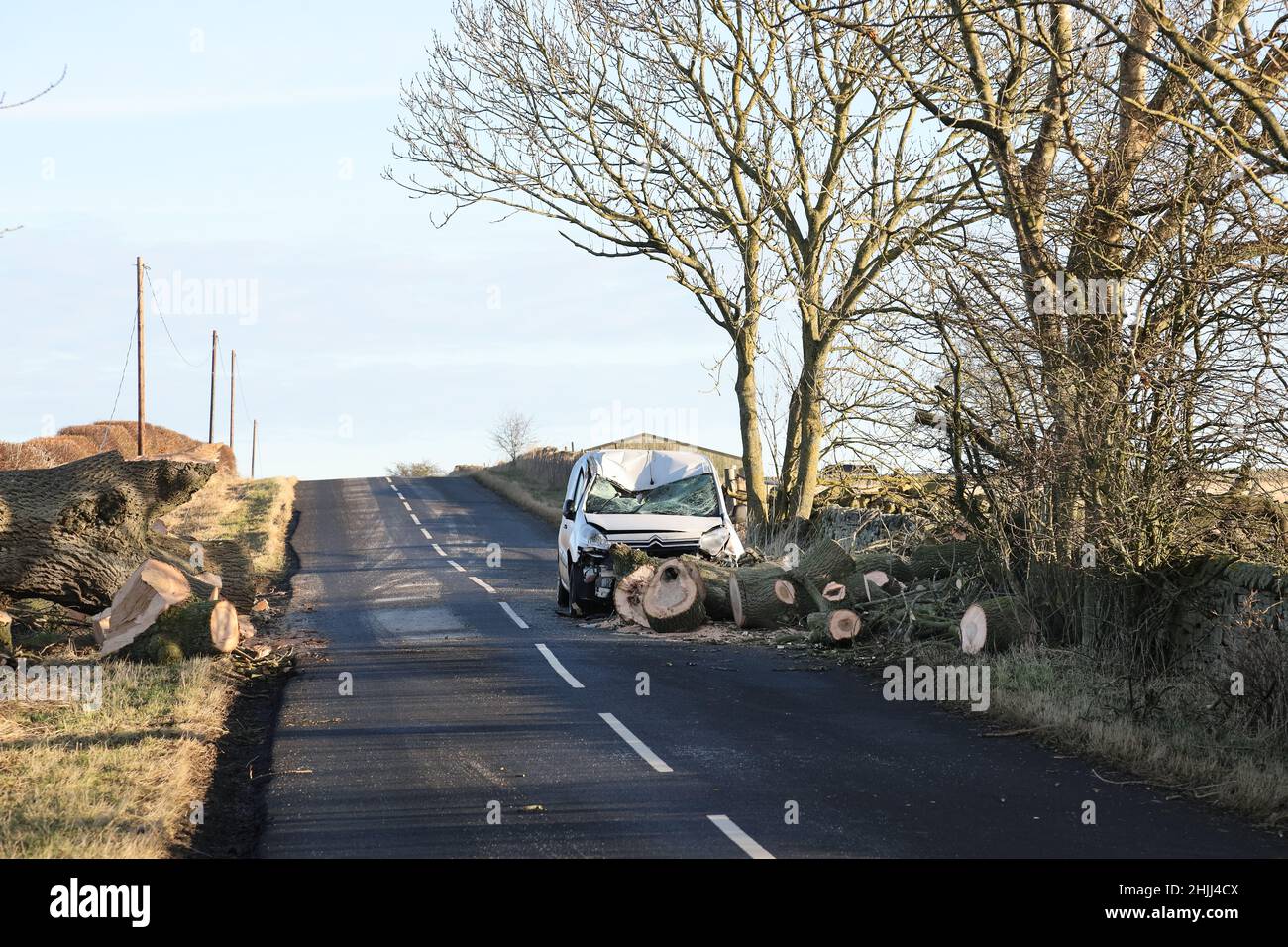Barnard Castle, Teesdale, County Durham, Regno Unito. 30th gennaio 2022. Meteo Regno Unito. Dopo la tempesta Malik, le persone si stanno arenando per ulteriori danni mentre Storm Corrie si avvicina al Regno Unito. Un autista ha avuto una fuga fortunata durante la tempesta Malik dopo che un albero è caduto attraverso una strada vicino al castello di Barnard. Credit: David Forster/Alamy Live News Foto Stock