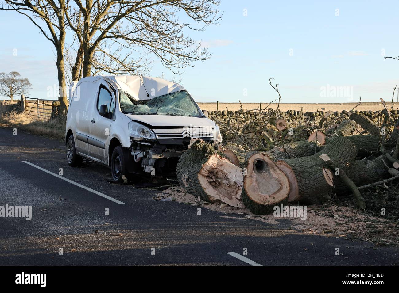 Barnard Castle, Teesdale, County Durham, Regno Unito. 30th gennaio 2022. Meteo Regno Unito. Dopo la tempesta Malik, le persone si stanno arenando per ulteriori danni mentre Storm Corrie si avvicina al Regno Unito. Un autista ha avuto una fuga fortunata durante la tempesta Malik dopo che un albero è caduto attraverso una strada vicino al castello di Barnard. Credit: David Forster/Alamy Live News Foto Stock