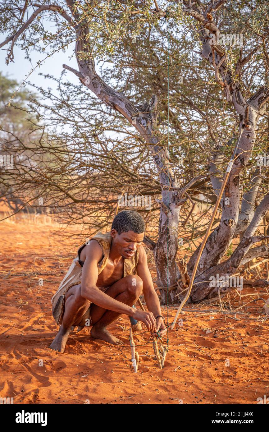 San bushman che fa una trappola, deserto di kalahari in Namibia. Foto Stock