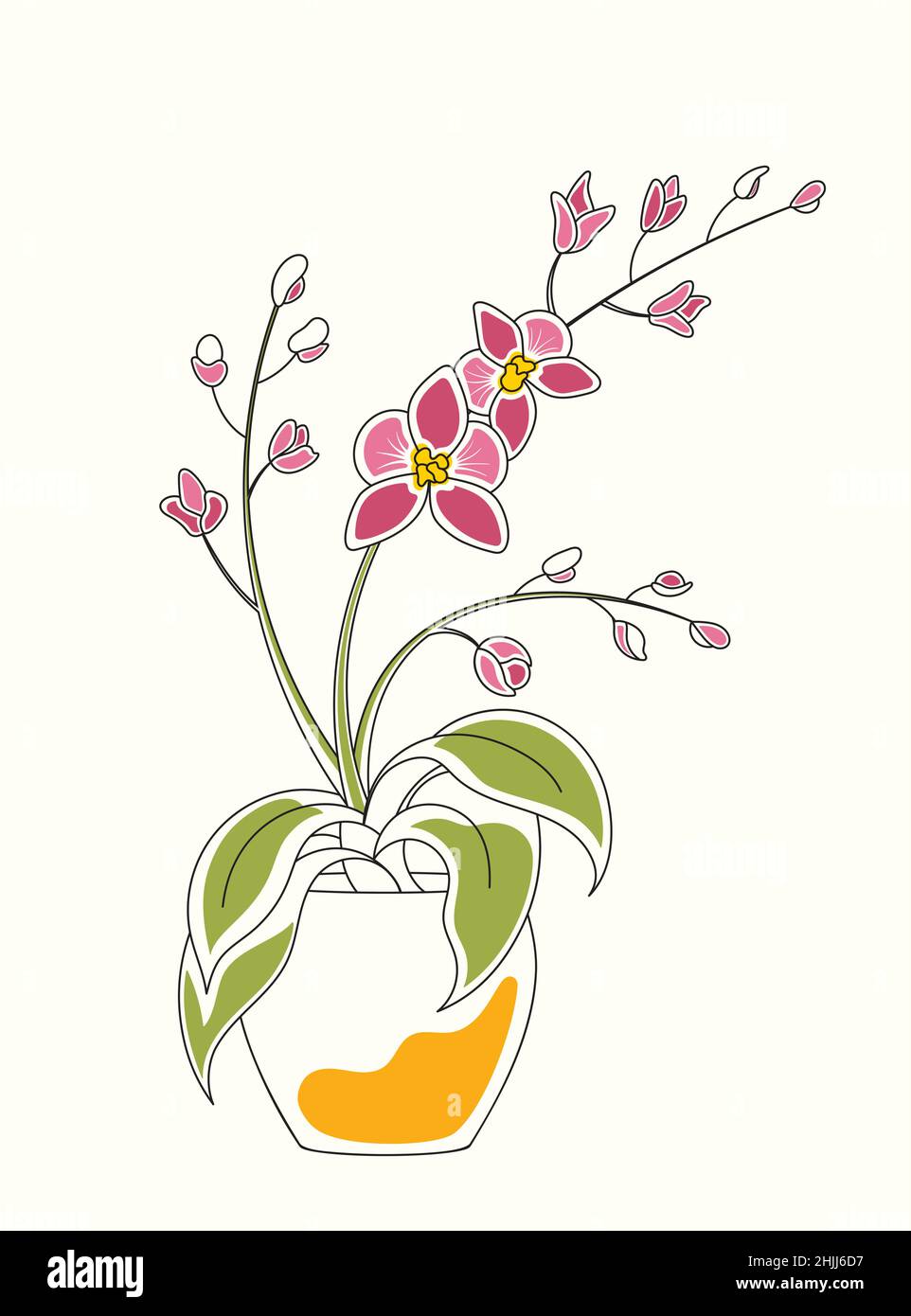 Illustrazione dell'acquerello di linea dell'orchidea in vaso con i fiori e i fiori Illustrazione Vettoriale