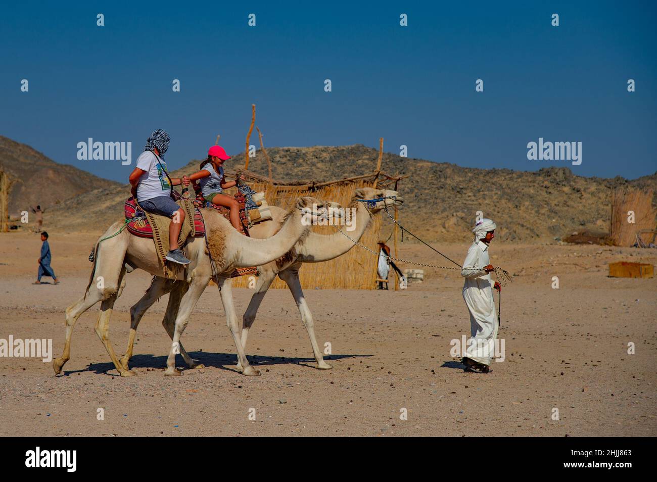 I turisti che cavalcano cammelli in Egitto guidati dalla gente del posto per divertimento Foto Stock