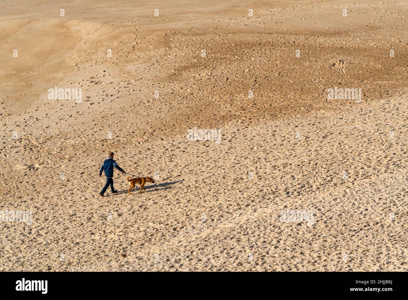Vista aerea di una persona che cammina il cane su un guinzaglio in spiaggia Foto Stock