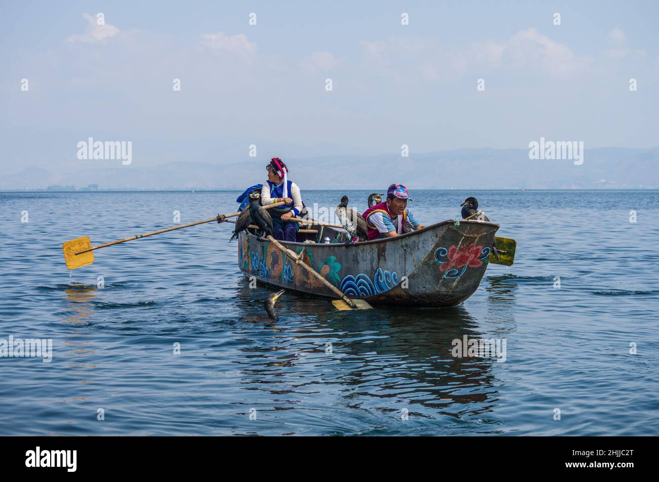 Asia, Cina, Yunnan, Dali, Lago di Erhai, pesca cormorana Foto Stock