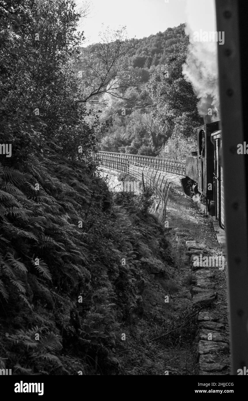 Chemin de fer du Vivarais, Ardèche, Gorges du Doux, Francia, Europa Foto Stock