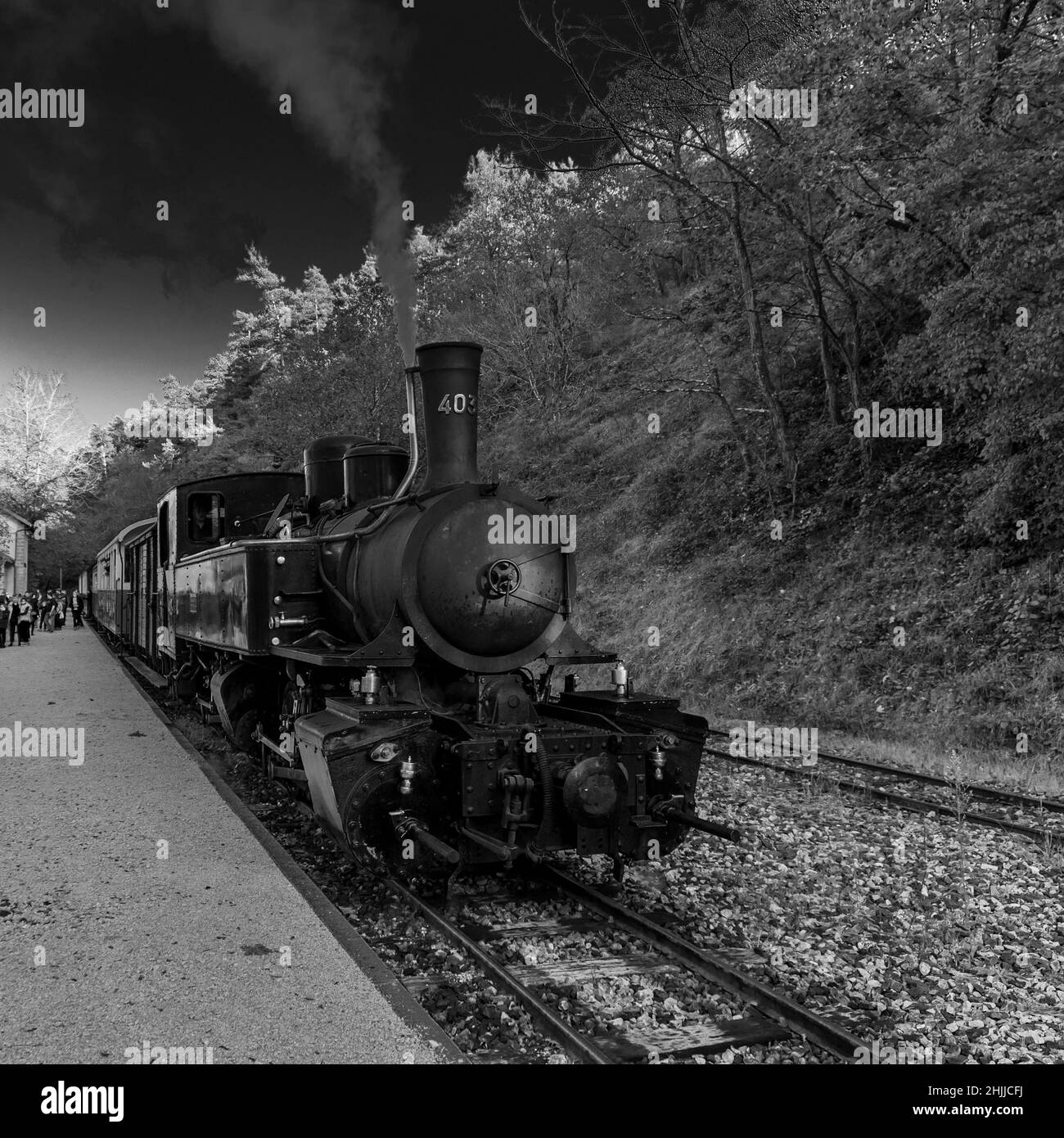 Chemin de fer du Vivarais, Ardèche, Gorges du Doux, Francia, Europa Foto Stock