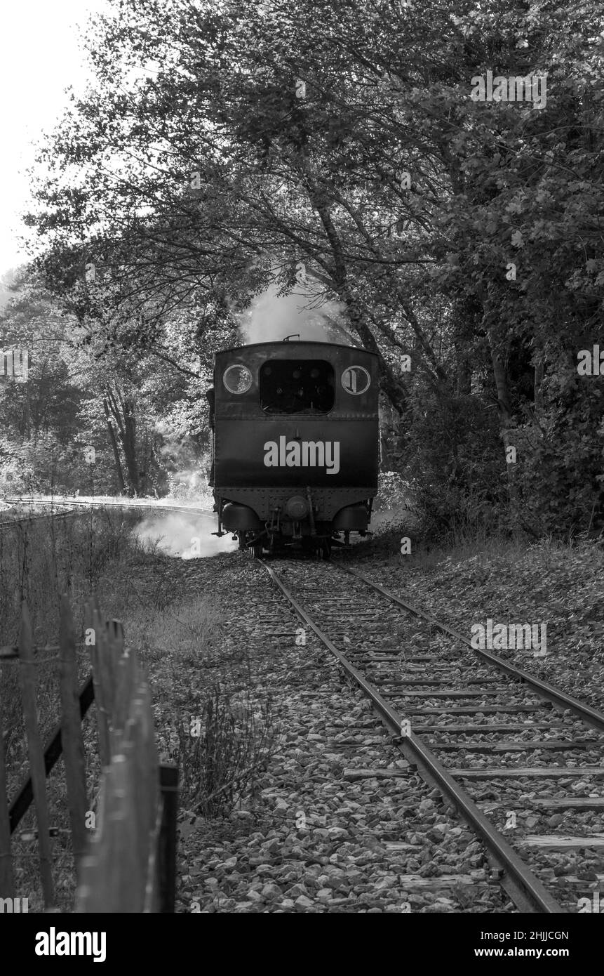 Chemin de fer du Vivarais, Ardèche, Gorges du Doux, Francia, Europa Foto Stock