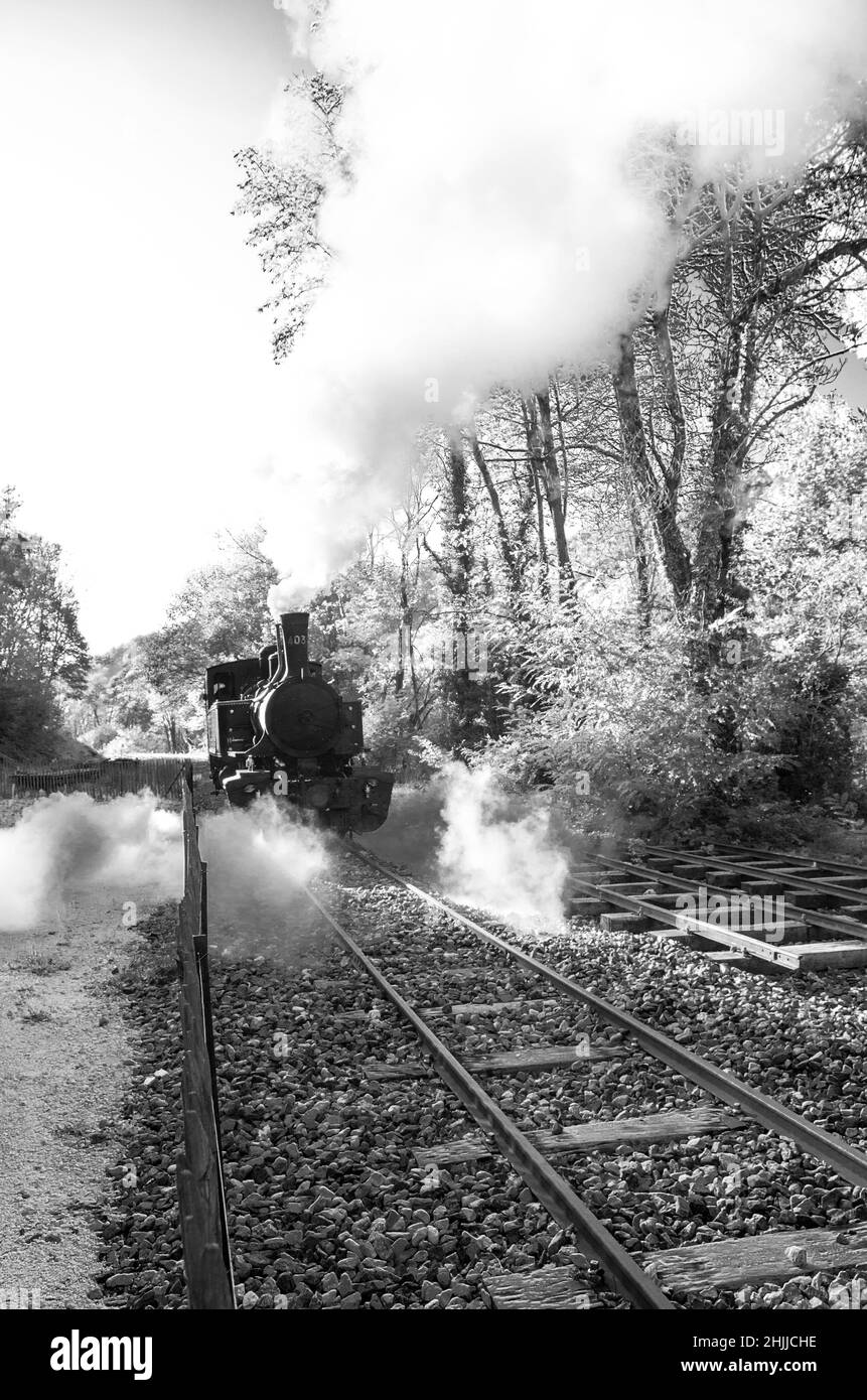 Chemin de fer du Vivarais, Ardèche, Gorges du Doux, Francia, Europa Foto Stock