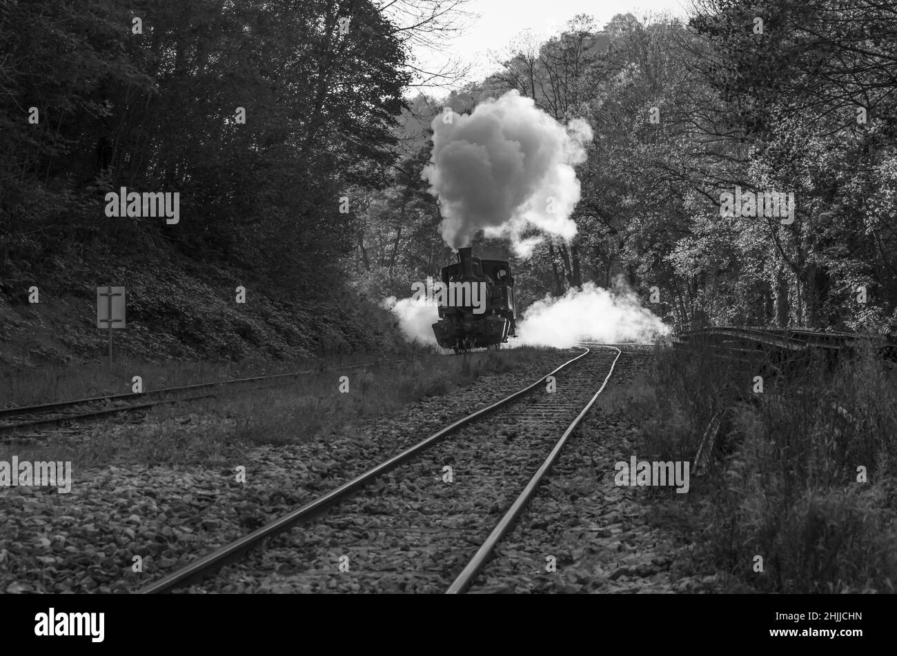 Chemin de fer du Vivarais, Ardèche, Gorges du Doux, Francia, Europa Foto Stock