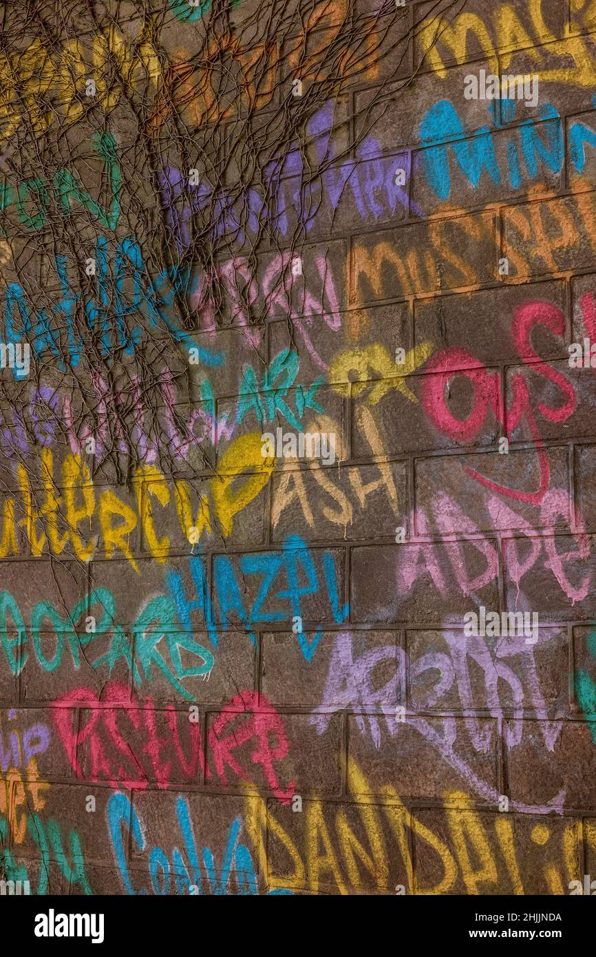 Graffitti su un muro abbandonato a Cardiff, Galles, Regno Unito Foto Stock