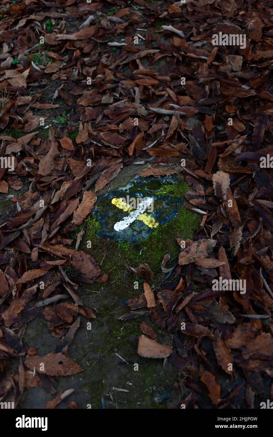 X-mark bianco e giallo sulla pietra a terra per corto raggio in modo errato Foto Stock