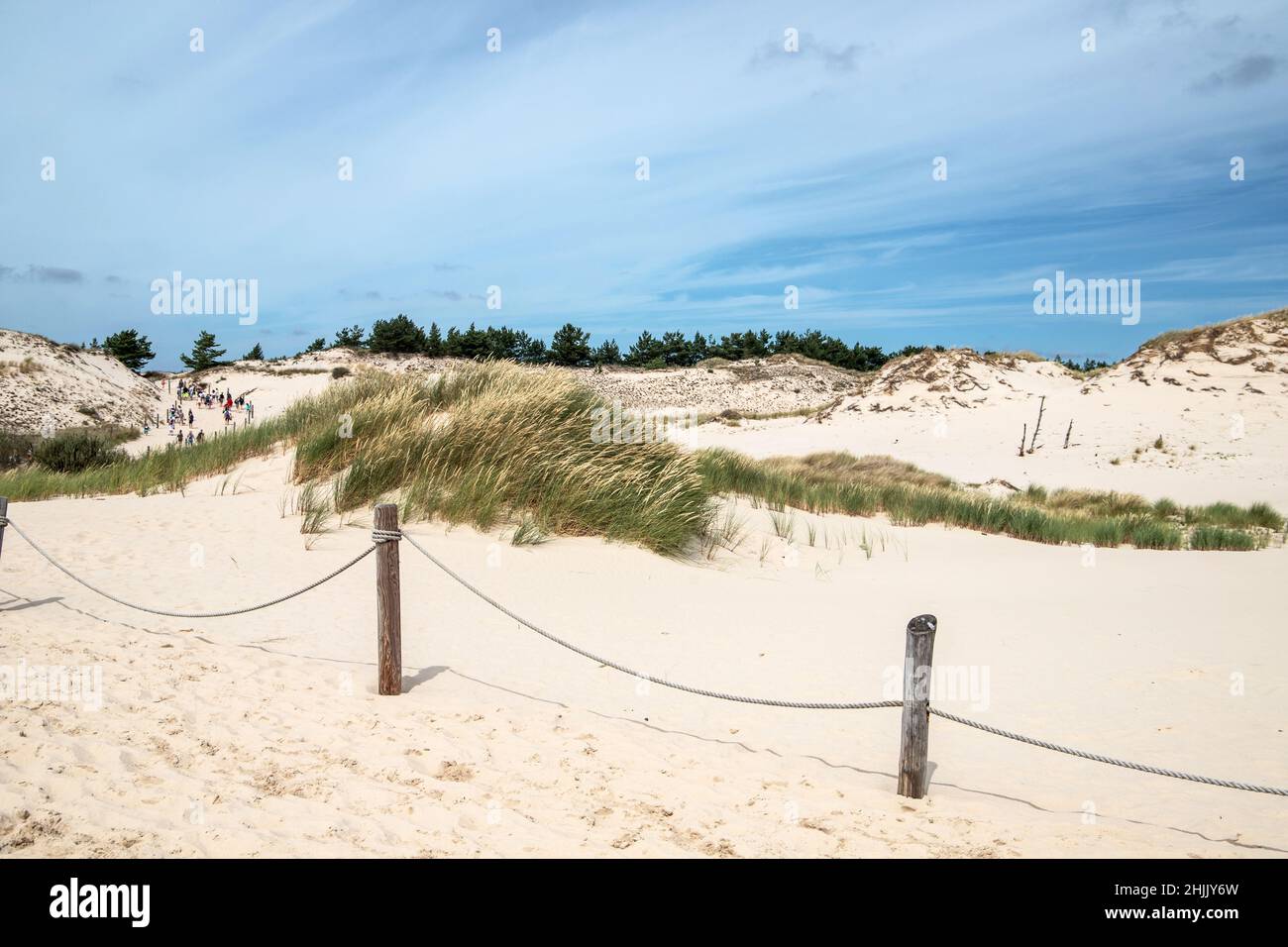 Dune in movimento nel Parco Nazionale di Slowinski, Leba, Polonia Foto Stock