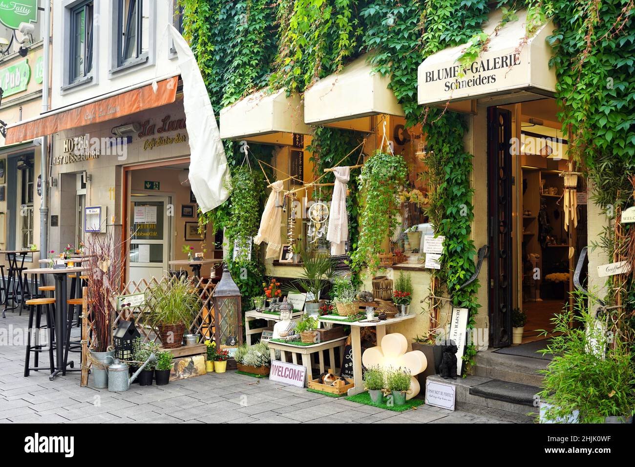 Blumen-Galerie Schneiders nella famosa destinazione turistica della città vecchia di Düsseldorf. Un piccolo negozio tipico che vende fiori e decorazioni per interni. Foto Stock