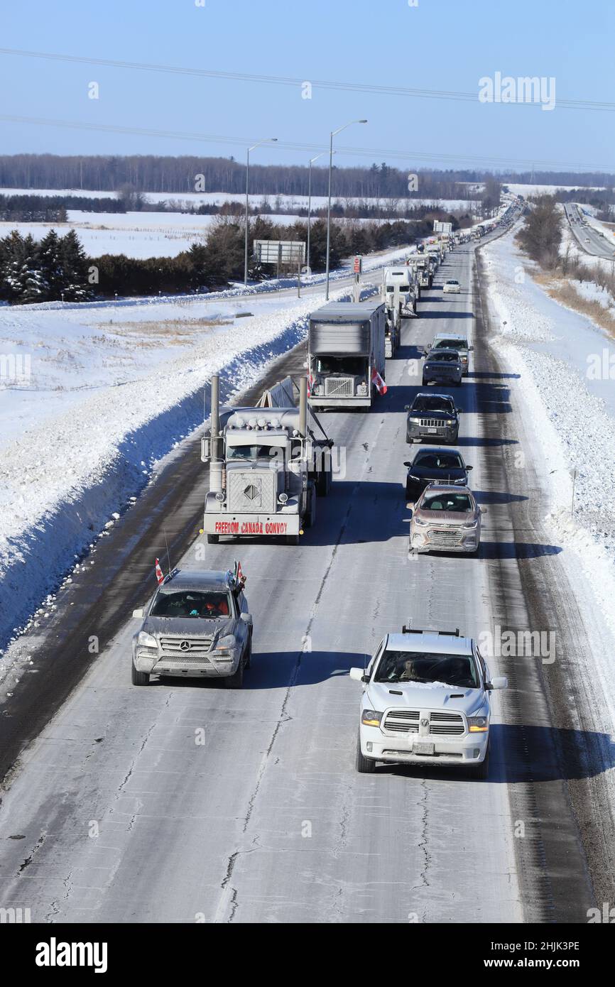 Freedom convoy 2022 camion che si spostano lungo l'autostrada 417 verso Ottawa per protestare mandati imposti come misure anticovid. Gennaio 29, 2022 Foto Stock