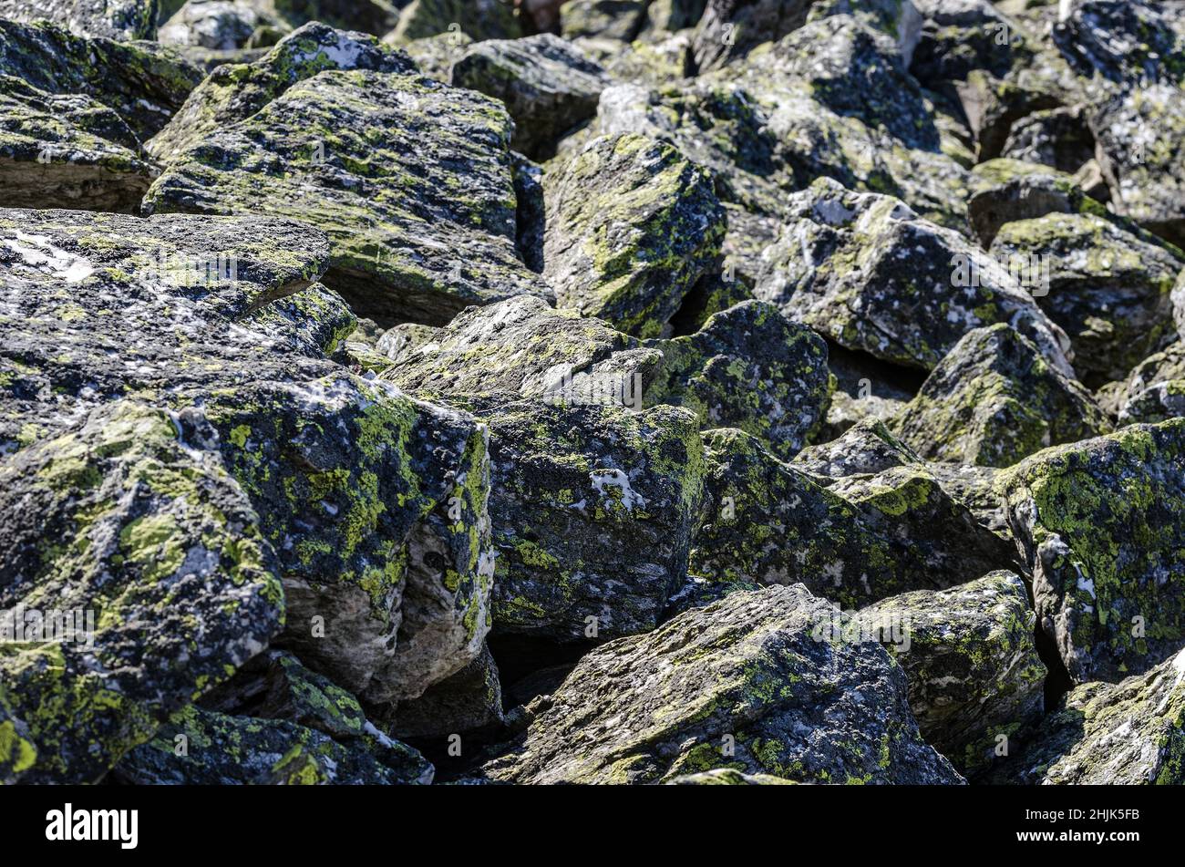 Lo scivolo di roccia in montagna, massi ricoperti di licheni - la texture naturale del terreno di montagna Foto Stock