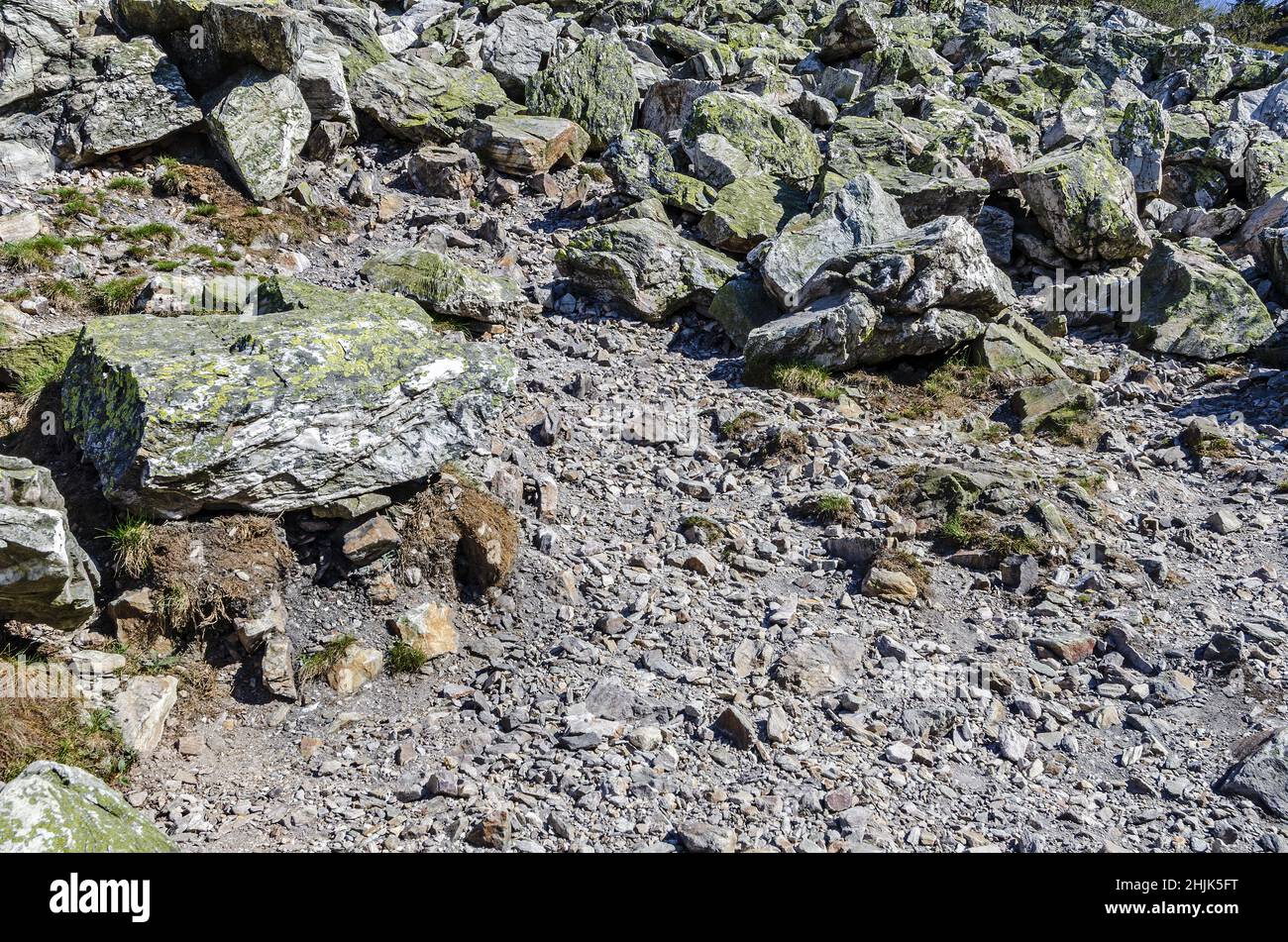 Lo scivolo di roccia in montagna - massi coperti di licheni. Texture naturale del terreno di montagna Foto Stock