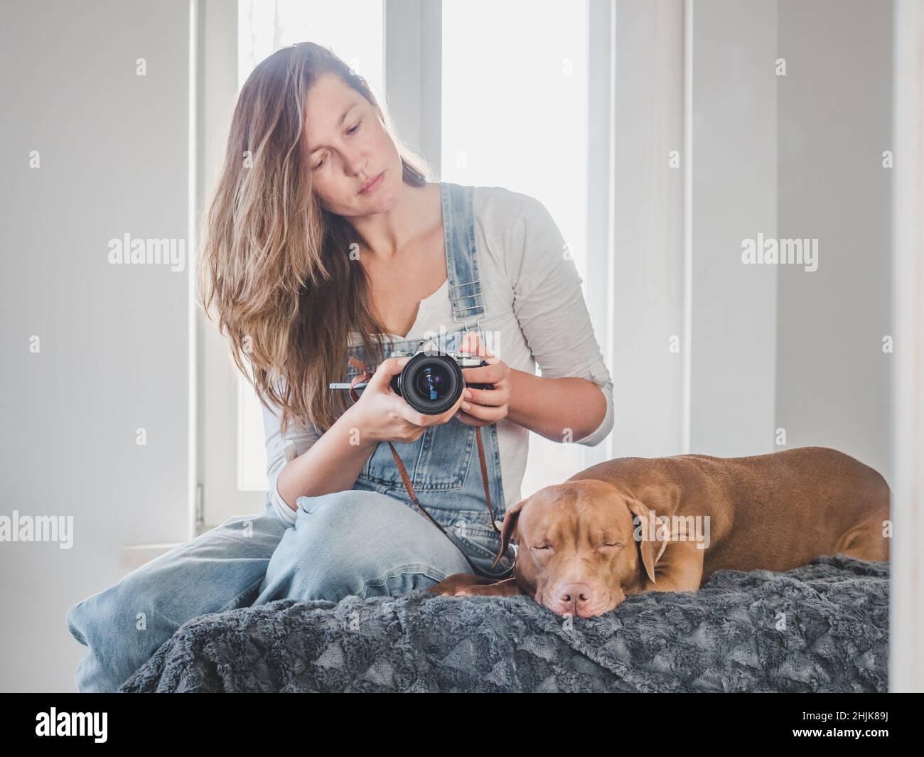 Donna carina e amabile, carino cucciolo di colore marrone Foto Stock