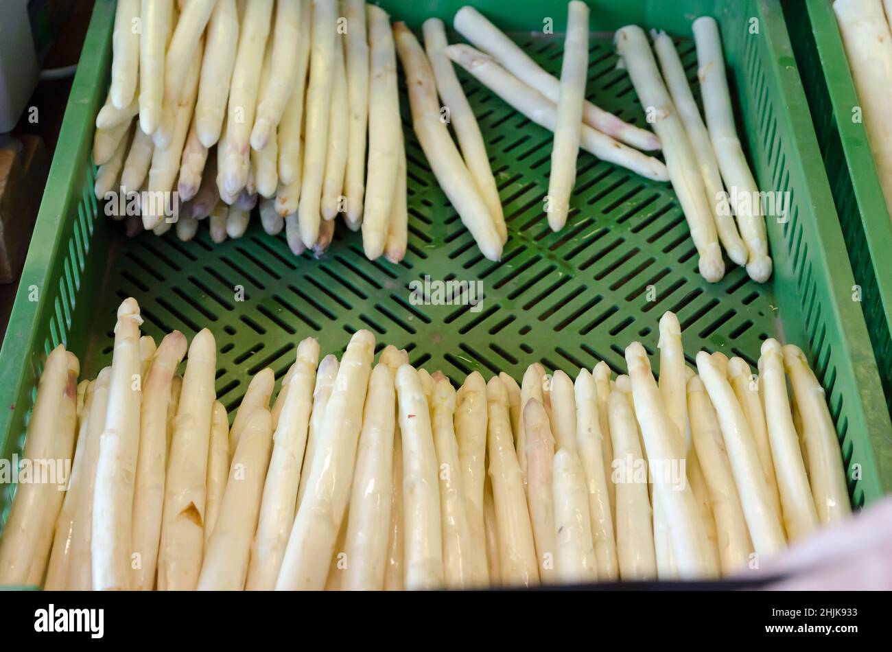 Harvest freschi Asparagi bianchi in offerta direttamente dal produttore. Foto Stock