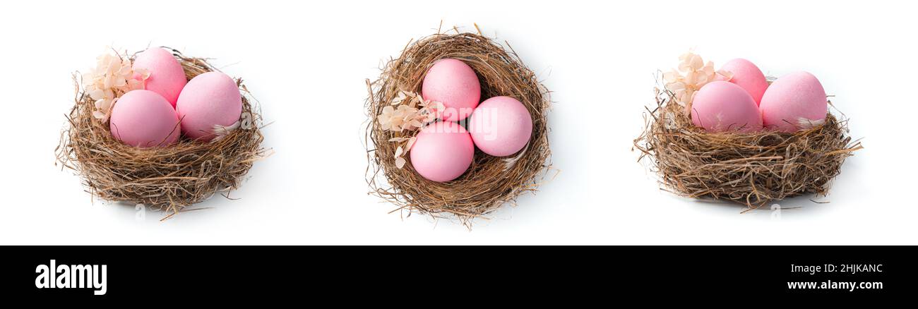 Tre nidi con uova di Pasqua rosa in diverse angolazioni isolate su sfondo bianco. Imposta. Il concetto di Pasqua. Foto Stock