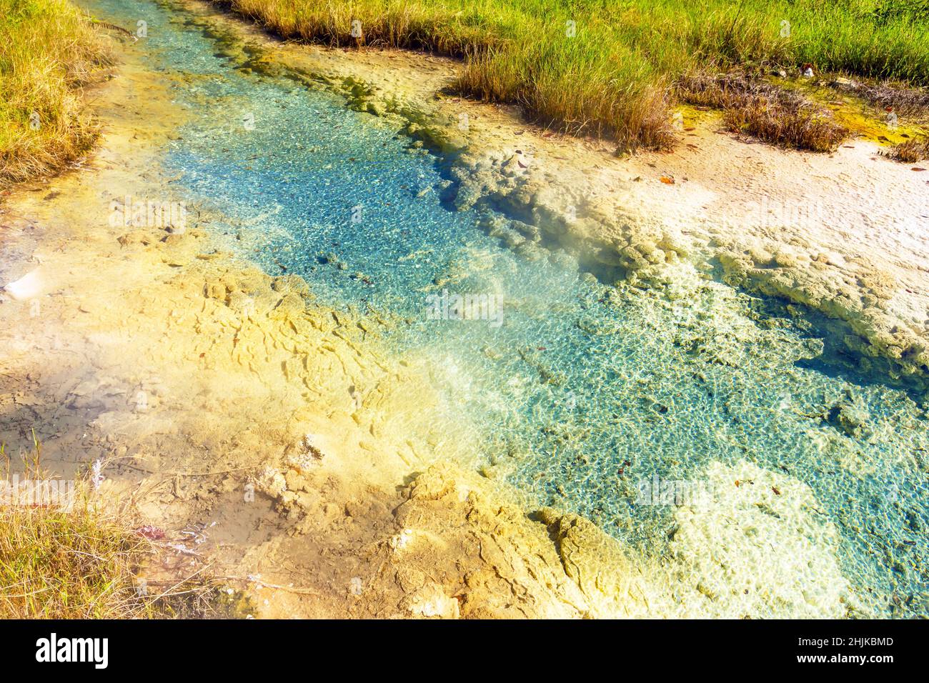Fonte naturale di idrogeno-zolfo nel Caucaso in estate Foto Stock