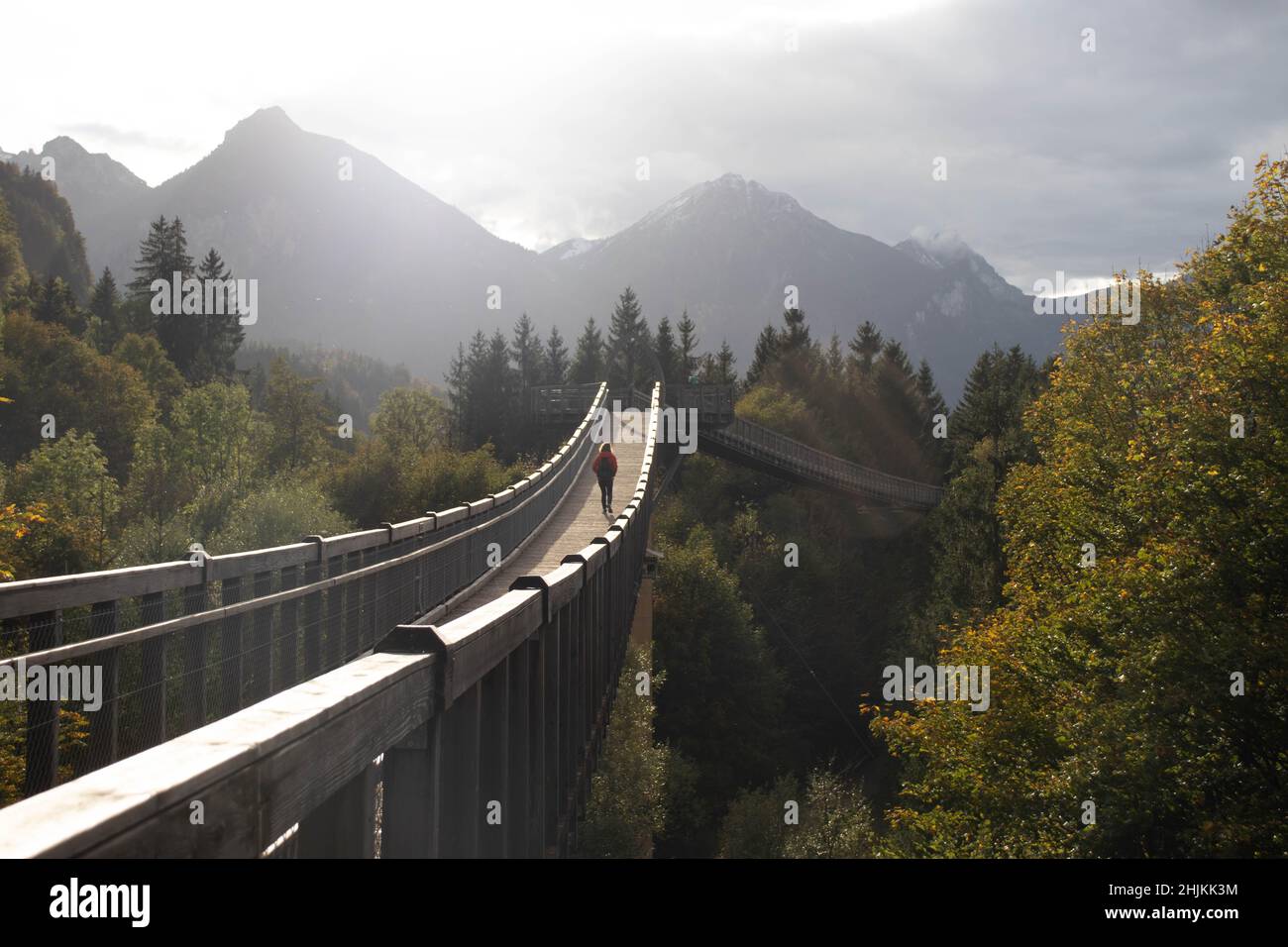 Der Baumkronenweg ist ein Pfad über Hängebrücken im Walderlebniszentrum Füssen-Ziegelwies. Er ist 480 Meter lang und in einer Höhe von 21 Metern. Foto Stock