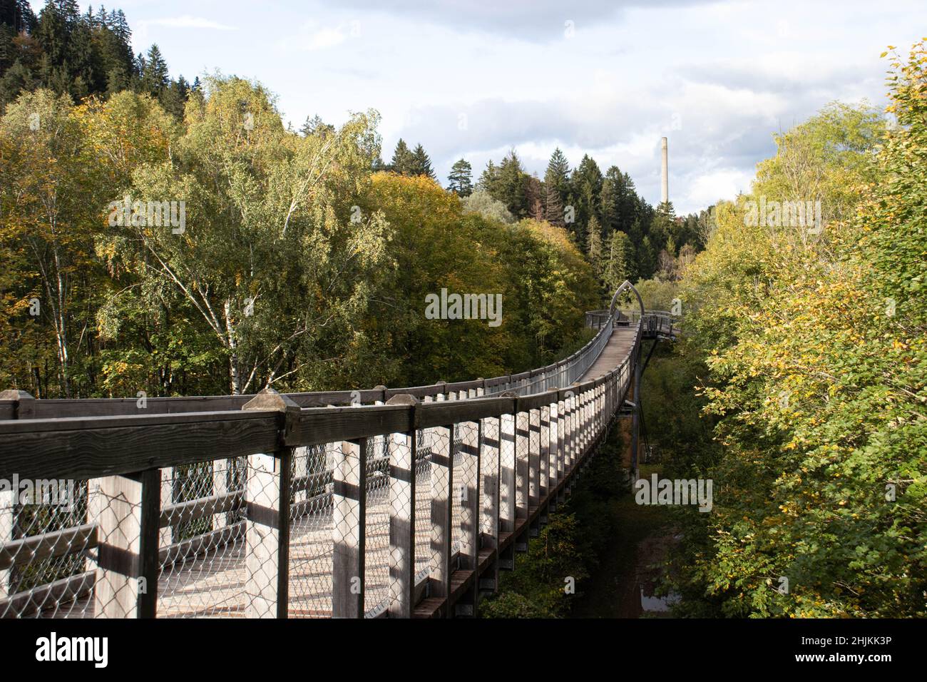 Der Baumkronenweg ist ein Pfad über Hängebrücken im Walderlebniszentrum Füssen-Ziegelwies. Er ist 480 Meter lang und in einer Höhe von 21 Metern. Foto Stock