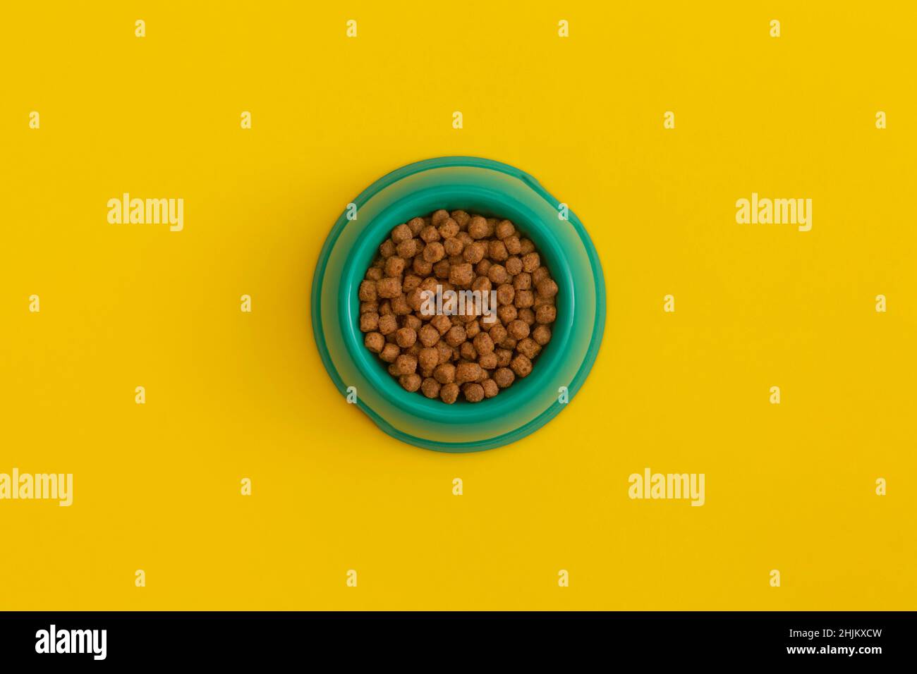 Asciugare gli alimenti di gatto in una ciotola su sfondo giallo Foto Stock