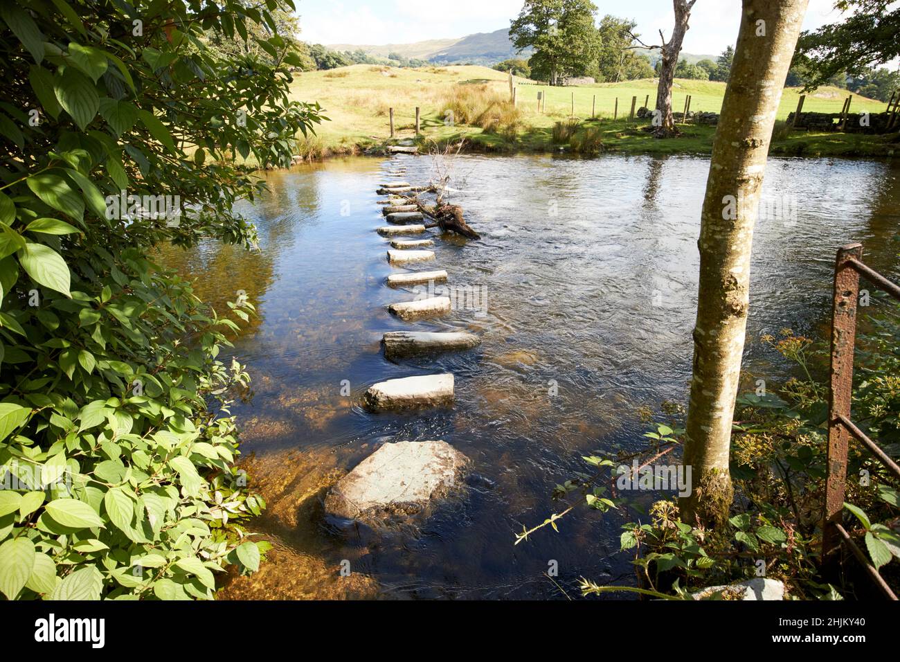 pietre che attraversano il rathay del fiume che scorre tra rydal e ambleside attraverso il distretto del lago della valle, cumbria, inghilterra, regno unito Foto Stock