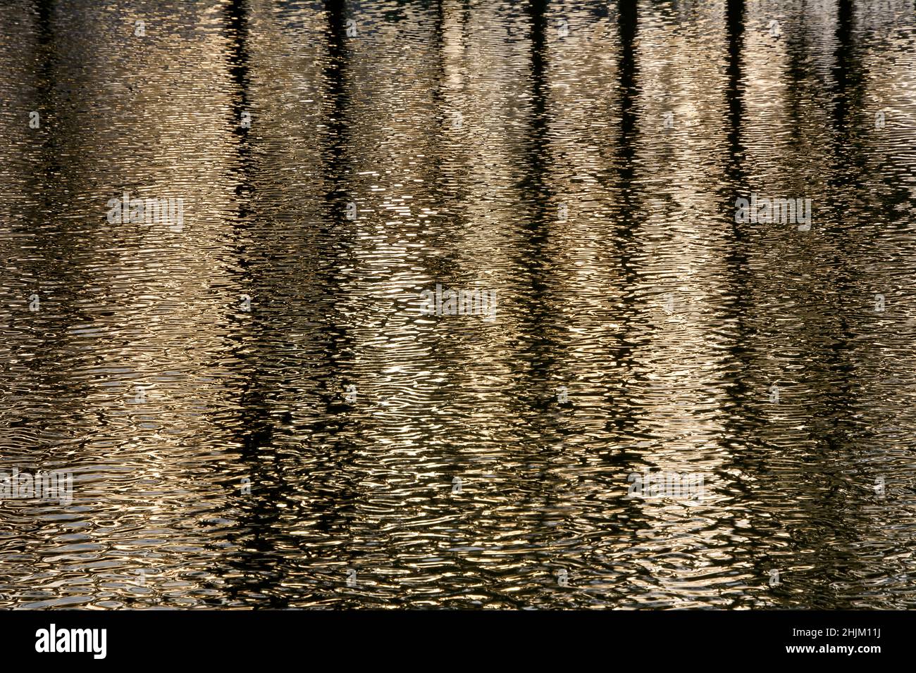 Riflessione di alberi sulla superficie di acqua increspata Foto Stock