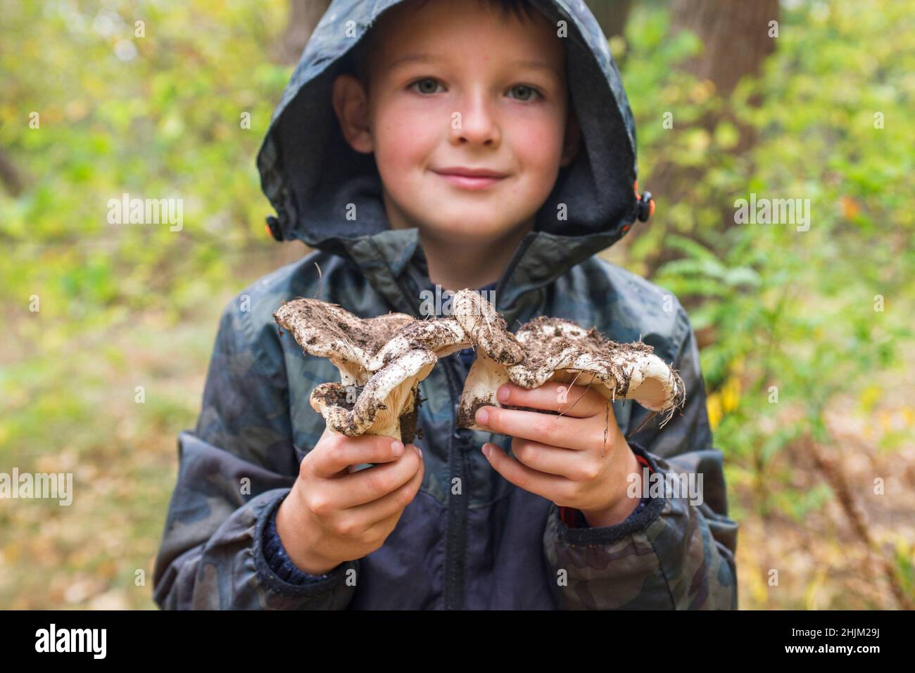 Il bambino tiene i funghi nelle sue mani. Alla ricerca di funghi nella foresta. Il bambino tiene nelle sue mani grandi funghi nella foresta in autunno. Foresta m Foto Stock