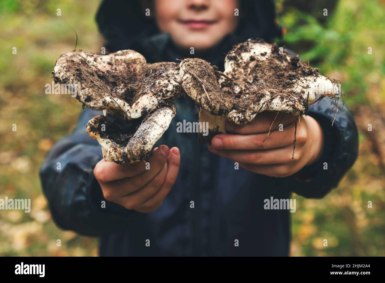 Le mani dei bambini tengono i funghi. Alla ricerca di funghi nella foresta. Le mani dei capretti tengono i funghi grandi nella foresta in autunno. Picki fungo della Foresta Foto Stock