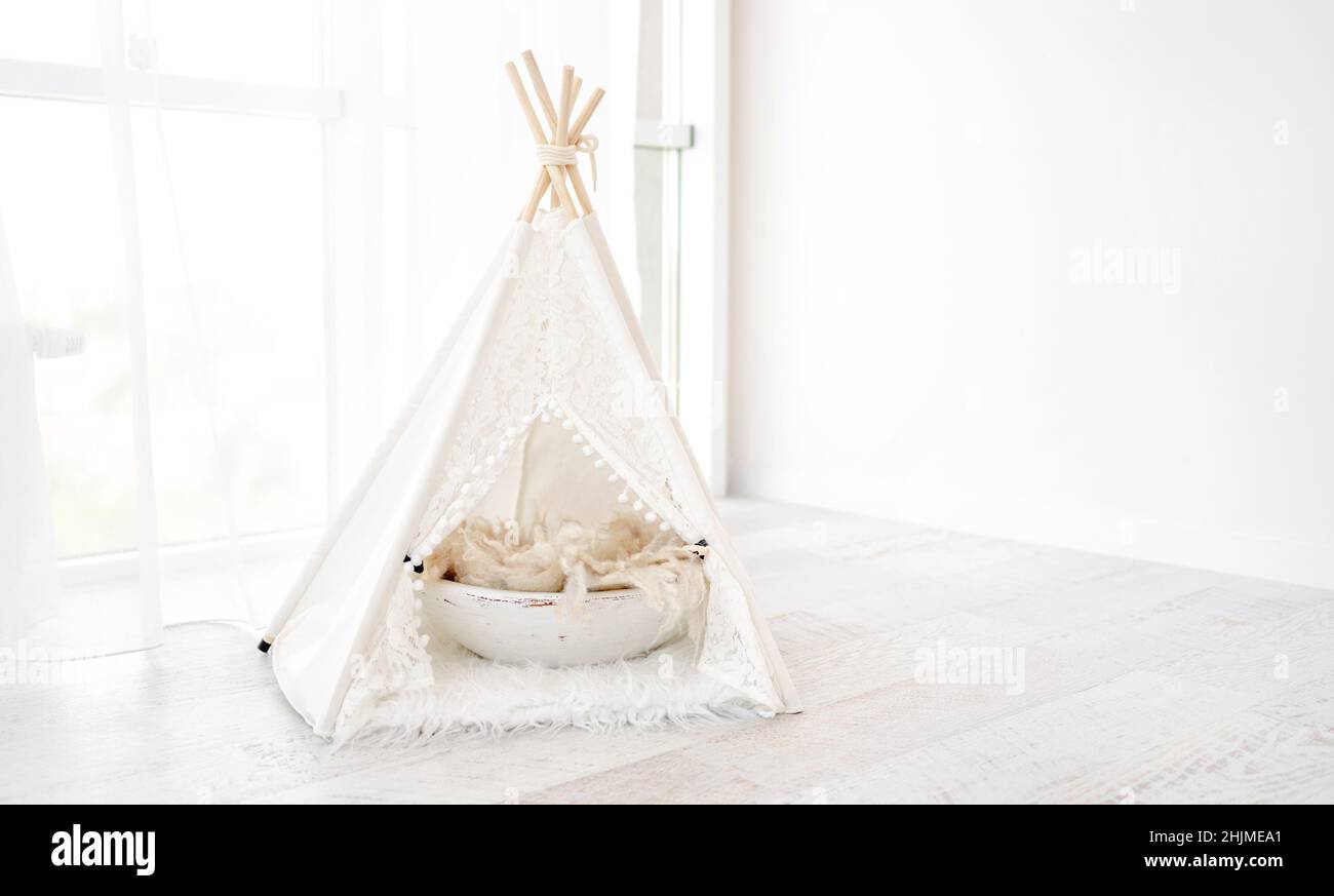 Capanna decorazione per foto animali Foto Stock