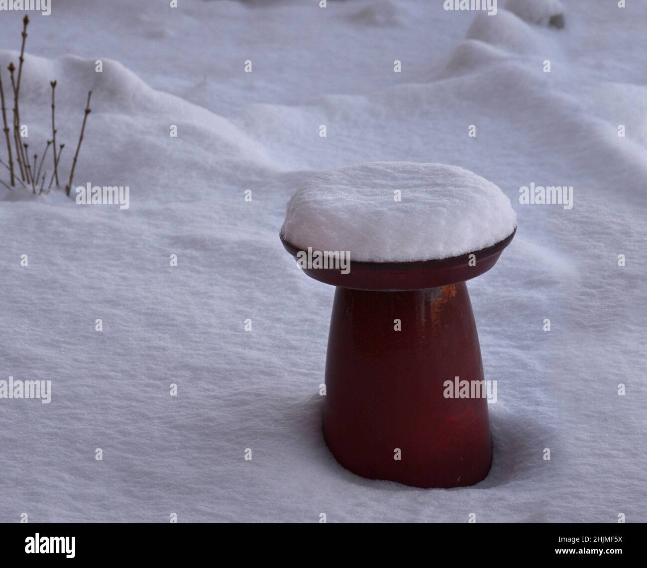 Un bagno di uccelli sul cortile coperto di neve a Santa Fe, New Mexico. Foto Stock