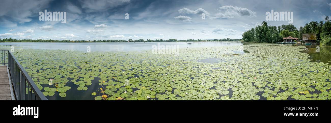 Bellissimo panorama paesaggio foto dal lago di ninfee, Seeburger See in Germania Foto Stock