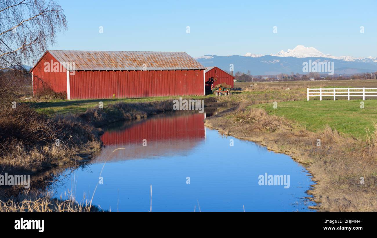Skagit Valley, WA, USA - 27 gennaio 2022; scena rurale nella Skagit Valley del Pacifico nord-occidentale. Un granaio rosso si erge accanto ad un laghetto Foto Stock