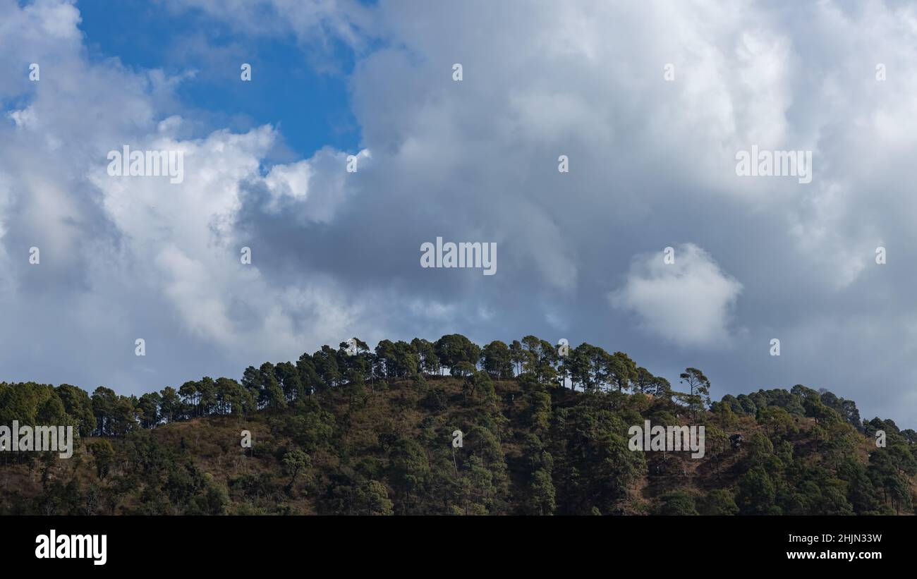 Fila di alberi sulla cima di una collina con le nuvole che si formano sullo sfondo Foto Stock