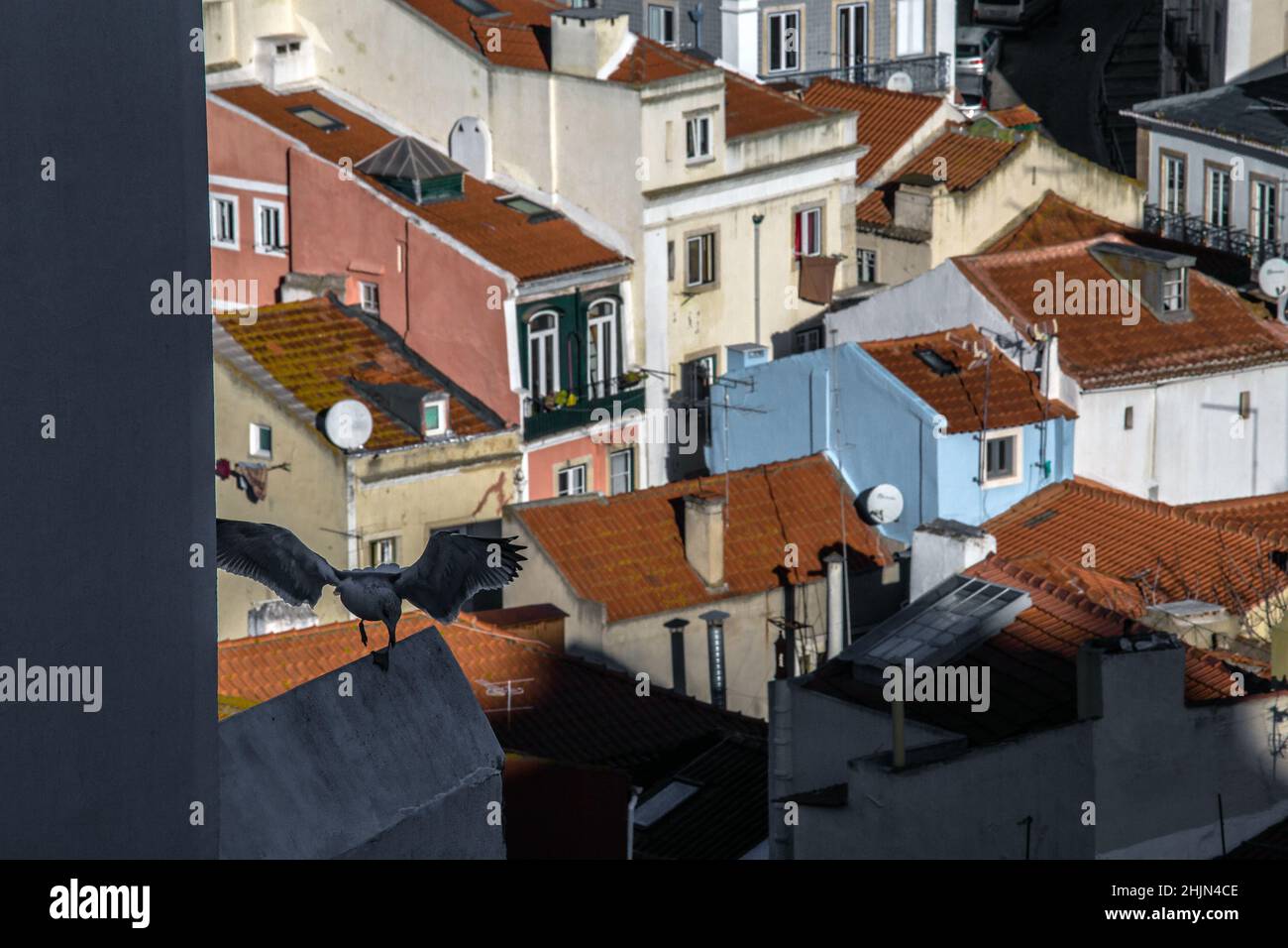 Alfama quartiere turistico con case colorate Lisboa. Lisbona, Portogallo Foto Stock