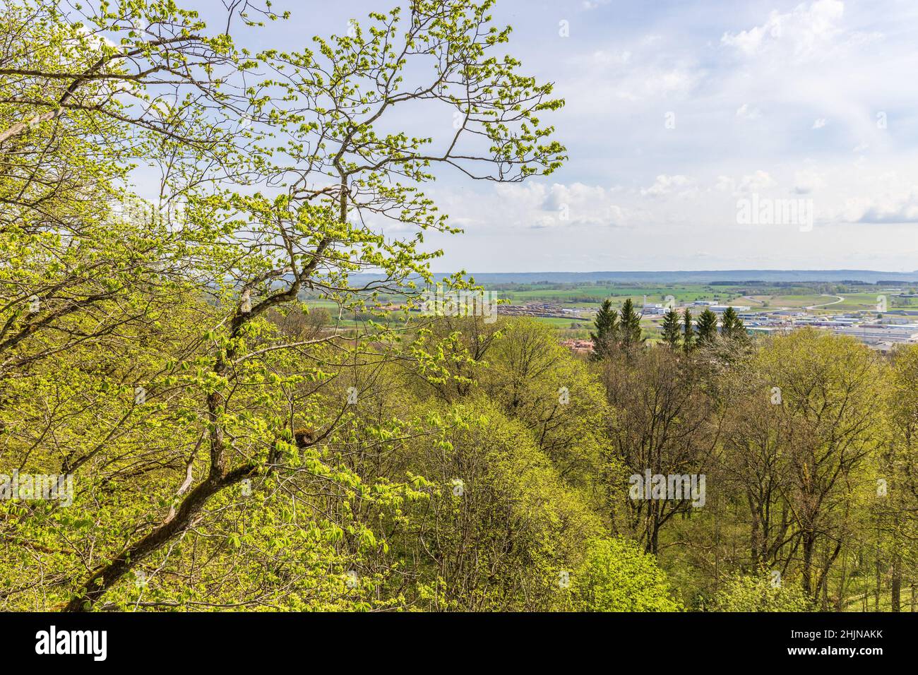 Vista sul paesaggio con lussureggianti alberi verdi in primavera Foto Stock