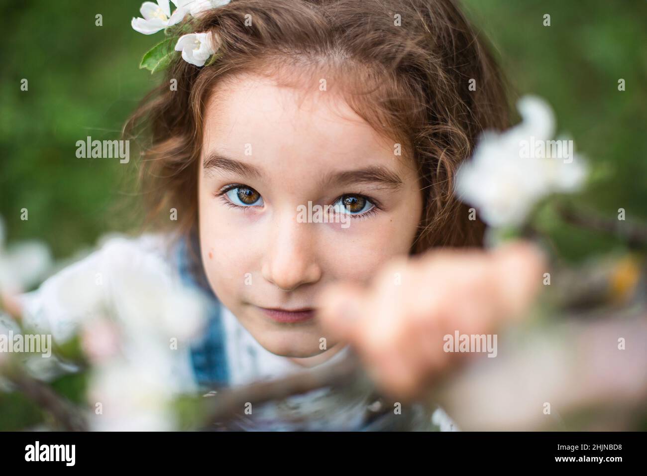 Una bambina carina di 5 anni in un frutteto di mela bianco fiorente in primavera. Primavera, frutteto, fioritura, allergia, profumo primaverile, tenerezza, Foto Stock