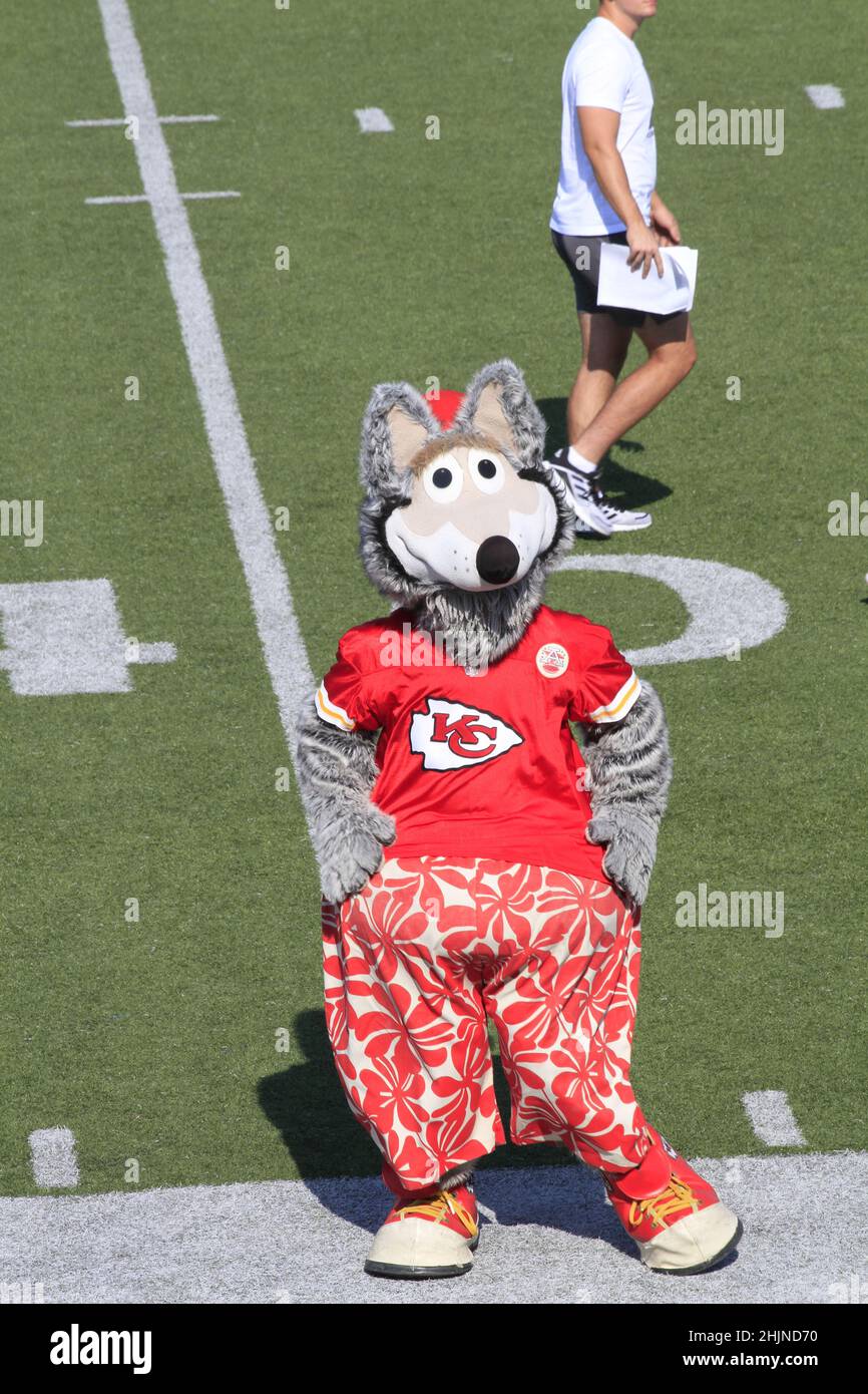 Kansas City Chief's Mascott in un campo da calcio in Kansas che è luminoso e colorato in una giornata luminosa e colorata. Foto Stock